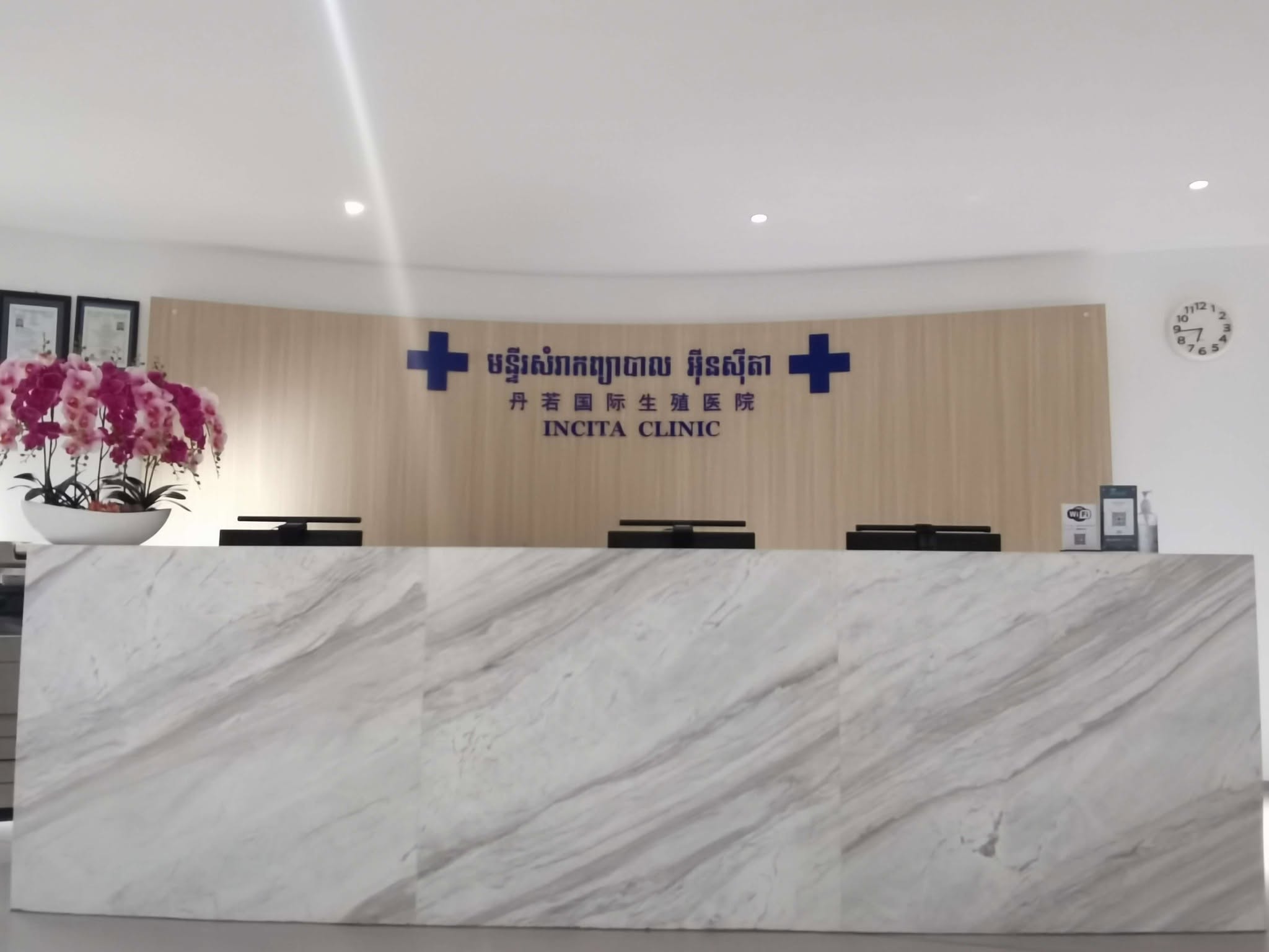 IVF Fertility Center