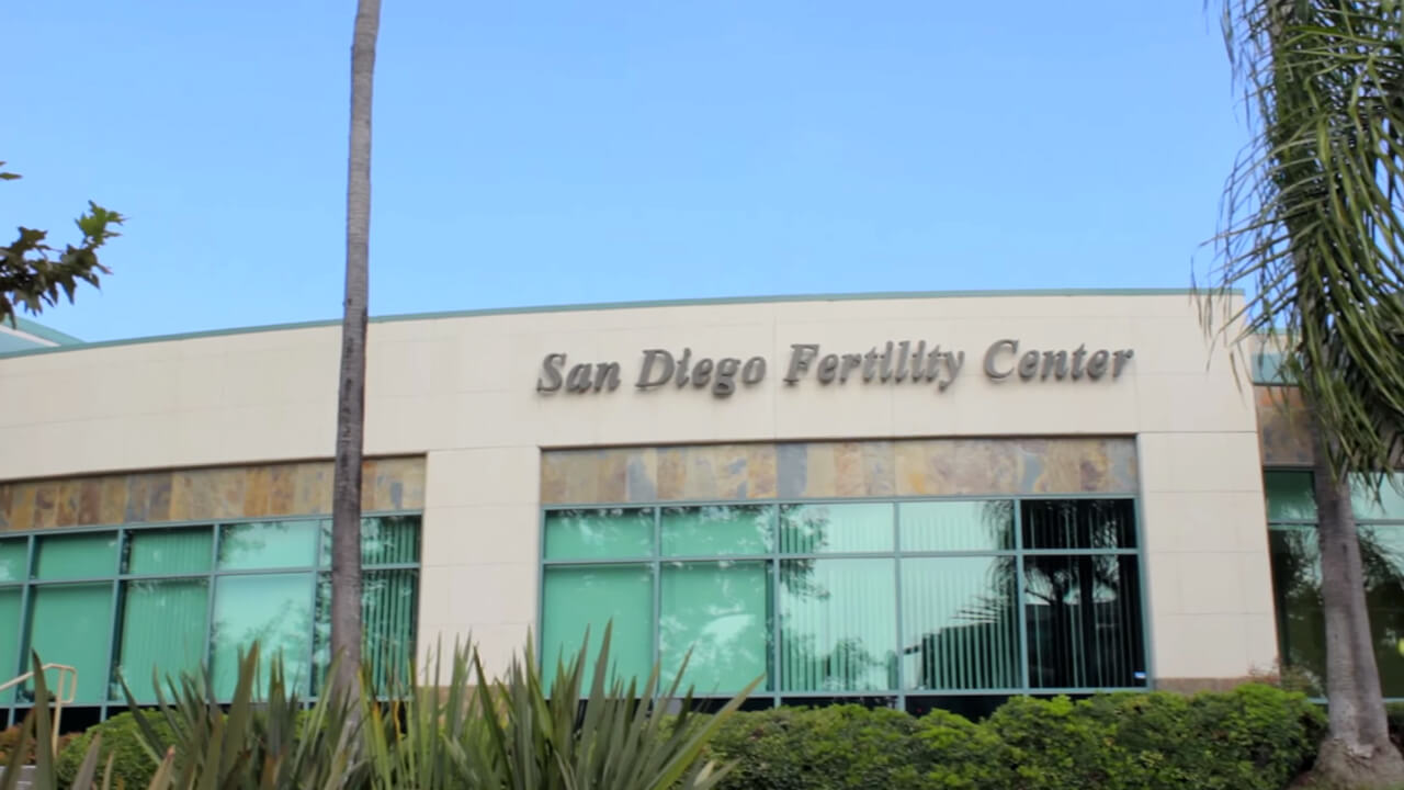 IVF Fertility Center
